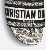 Dway Slide - Image 4